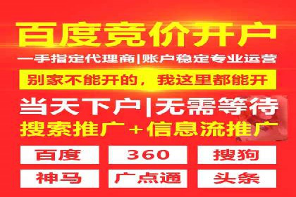 百度竞价SEM案例研究：提升转化率的关键策略